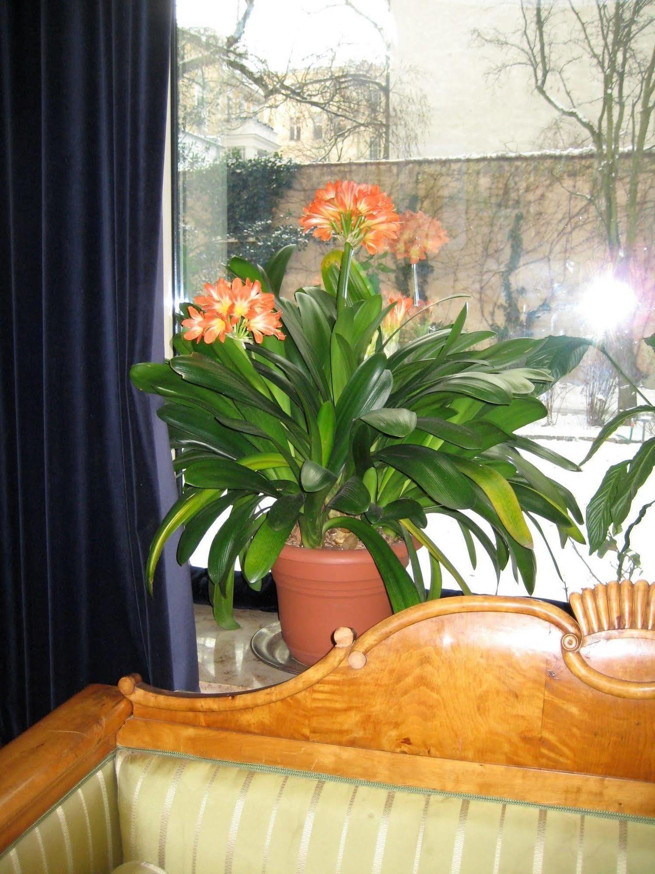 Hotel Literaturhotel Berlino