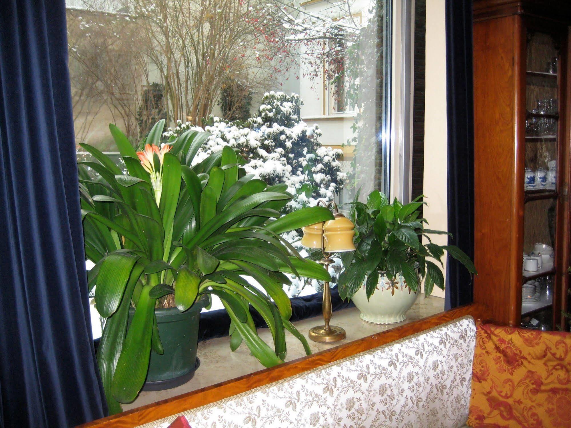 Hotel Literaturhotel Berlino